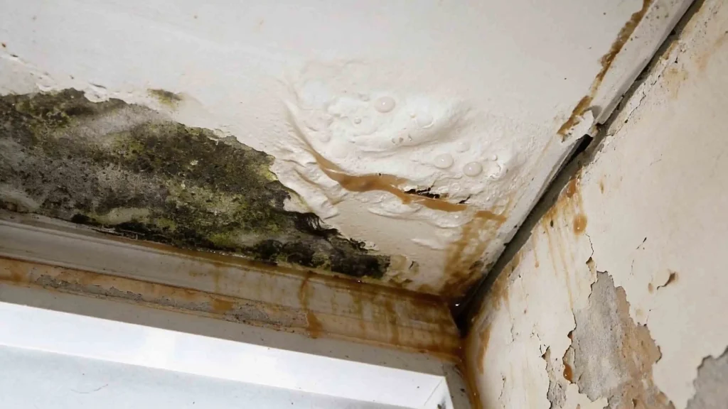 Why-Small-Leaks-Become-Big-Problems